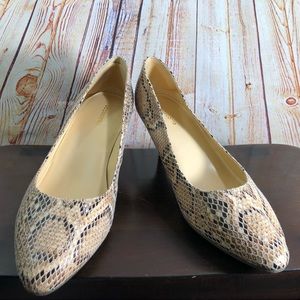 Liz Claiborne | Snakeskin Pointed Toe Heels